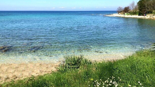 A clear beach with calm waters, a sandy shore, and greenery. - Apartment Elia 1 by Interhome (Umag/Savudrija)