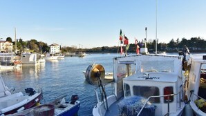 A marina with several boats docked, a clear sky, and buildings in the background. - Apartment Elia 1 by Interhome (Umag/Savudrija)