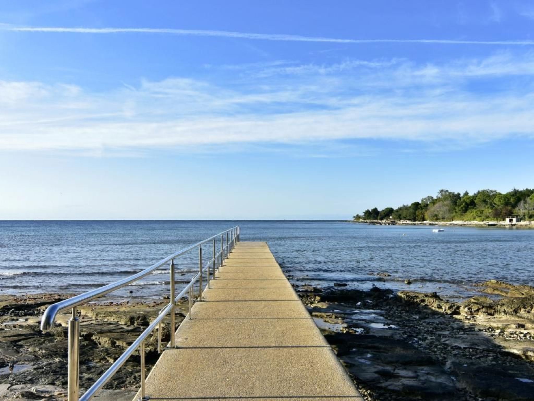 A concrete pier extending into calm waters with a metal railing, leading to a rocky shoreline with trees and a small building in the distance.