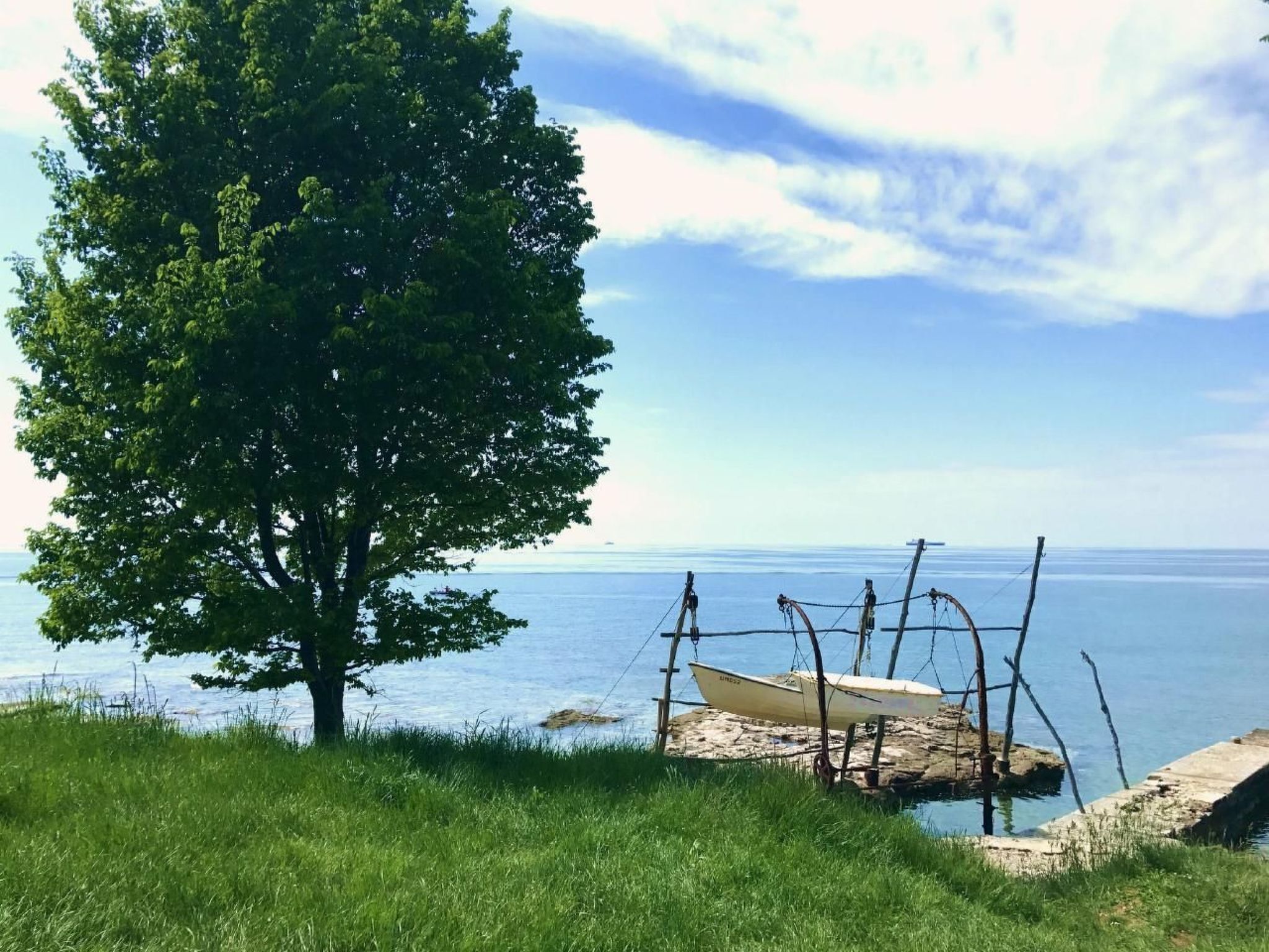 A tree-lined lakeside view with a boat docked on a sandy shore.