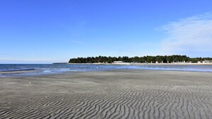 A beach with a sandy shore and a forested area in the background. - Martina B4 by Interhome (Umag)