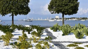 A coastal scene with two prominent trees, a marina with boats, and a clear sky. - Vedrana 4 by Interhome (Umag)