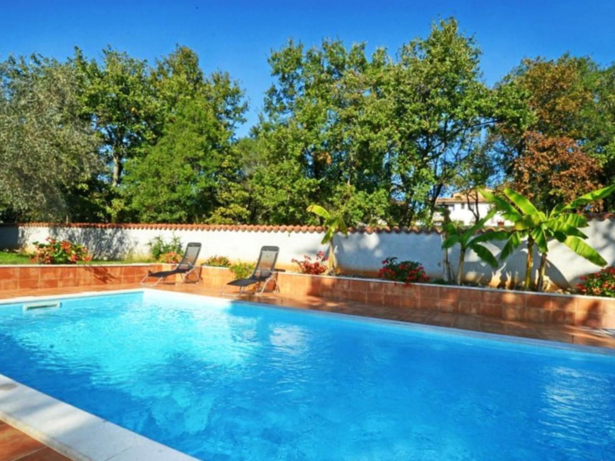 A swimming pool with lounge chairs, surrounded by a white wall and greenery.
