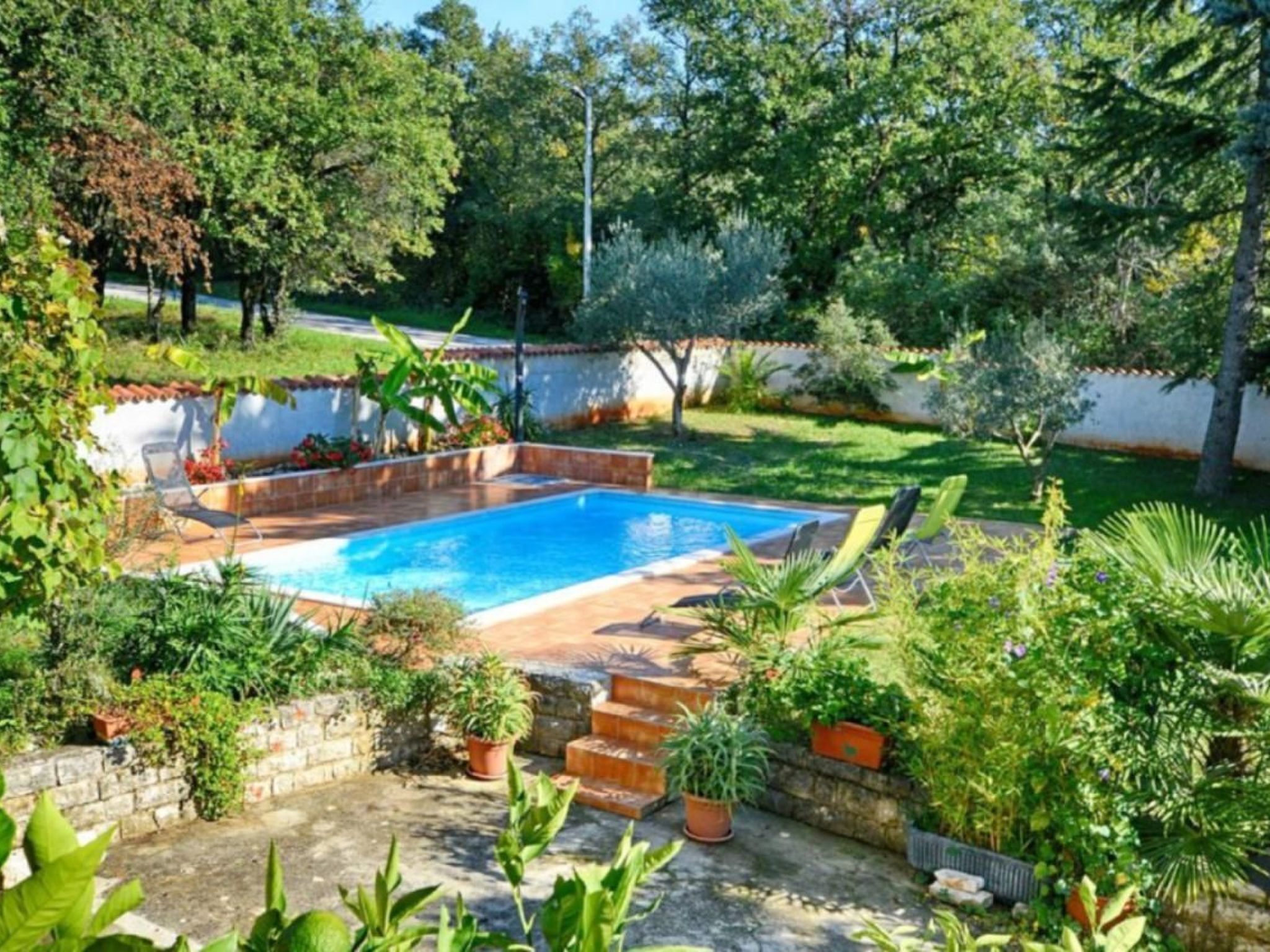 Piscina retangular com deck ladrilhado, rodeada por vasos de plantas e um muro de pedra.