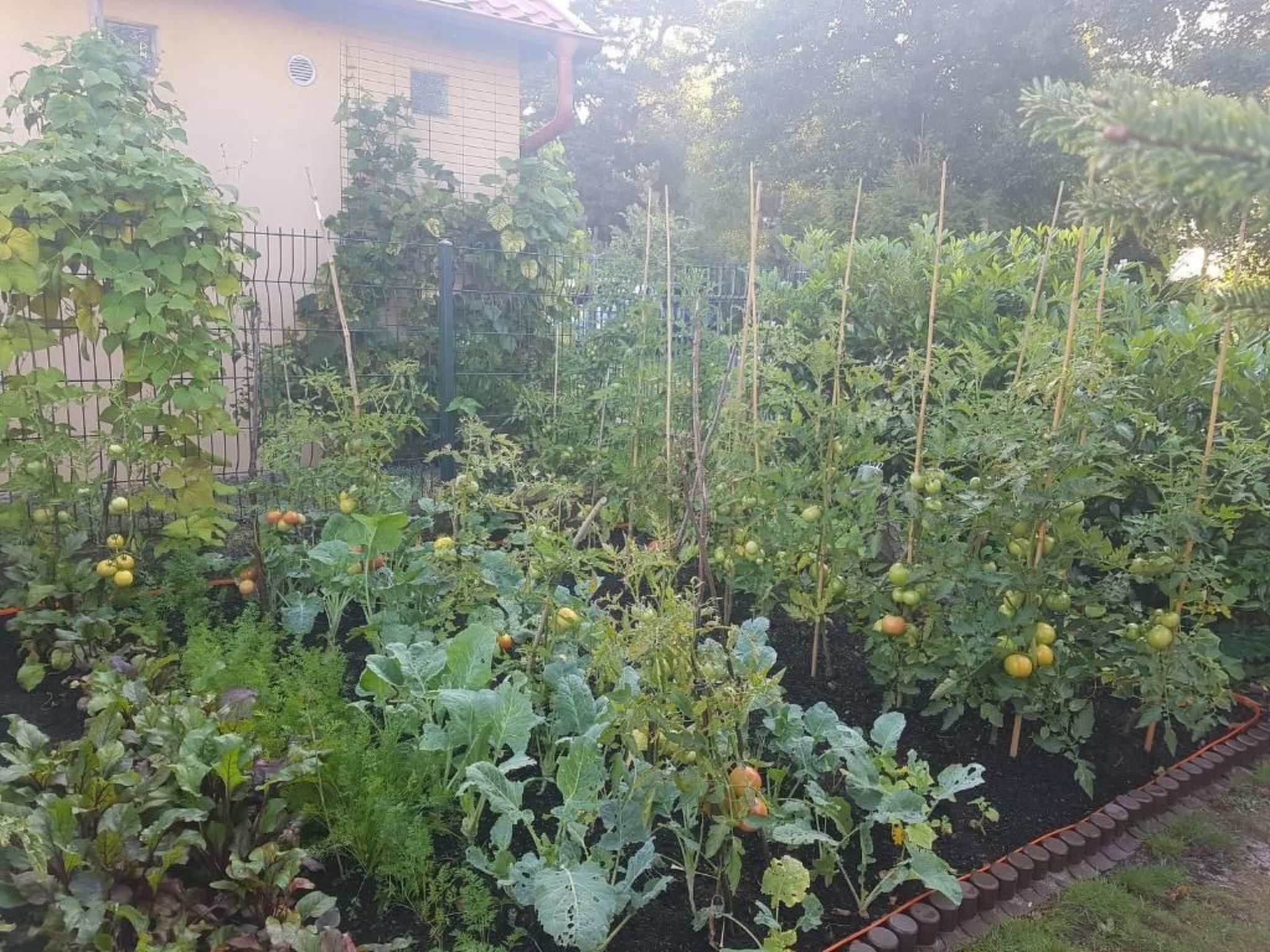 Área da propriedade