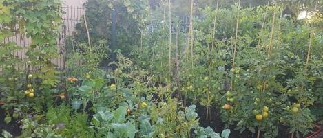 Terrain de lâhĂ©bergement