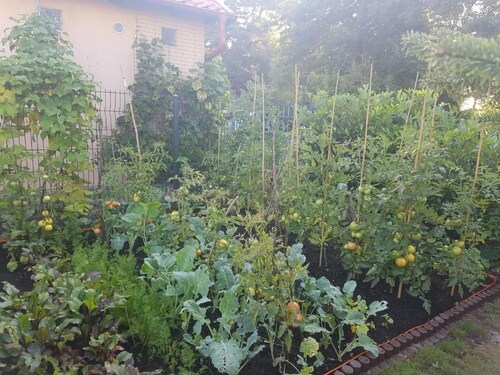 in Żarnowska mit Grill und Garten by Interhome