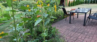 Gartenappartement an der polnischen Ostseeküste by Interhome