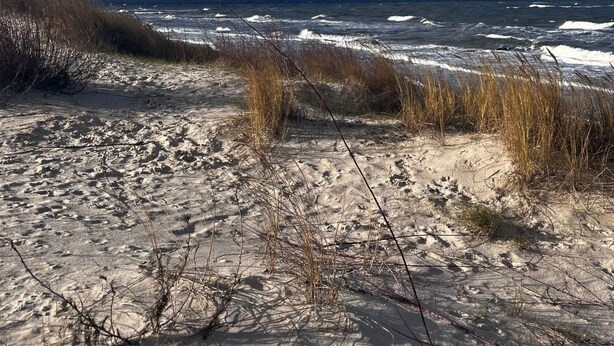 A beach with sand dunes and a view of the ocean under a partly cloudy sky. - Apartment Sky by Interhome (Kolobrzeg)