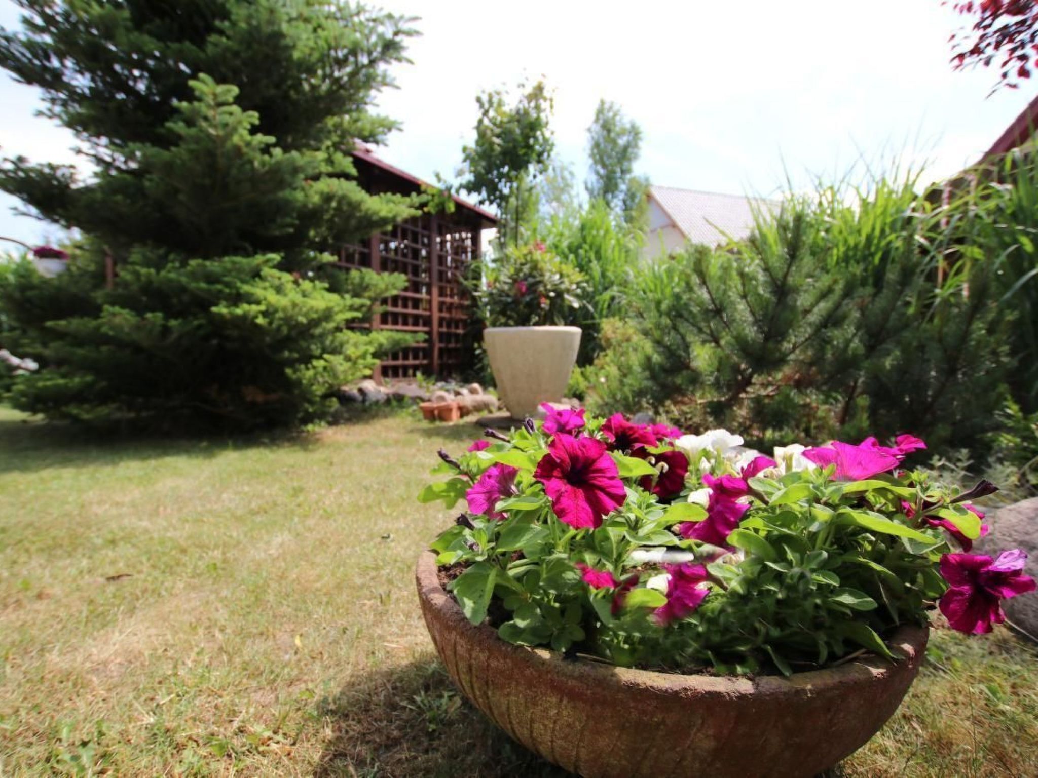 Terrein van de accommodatie