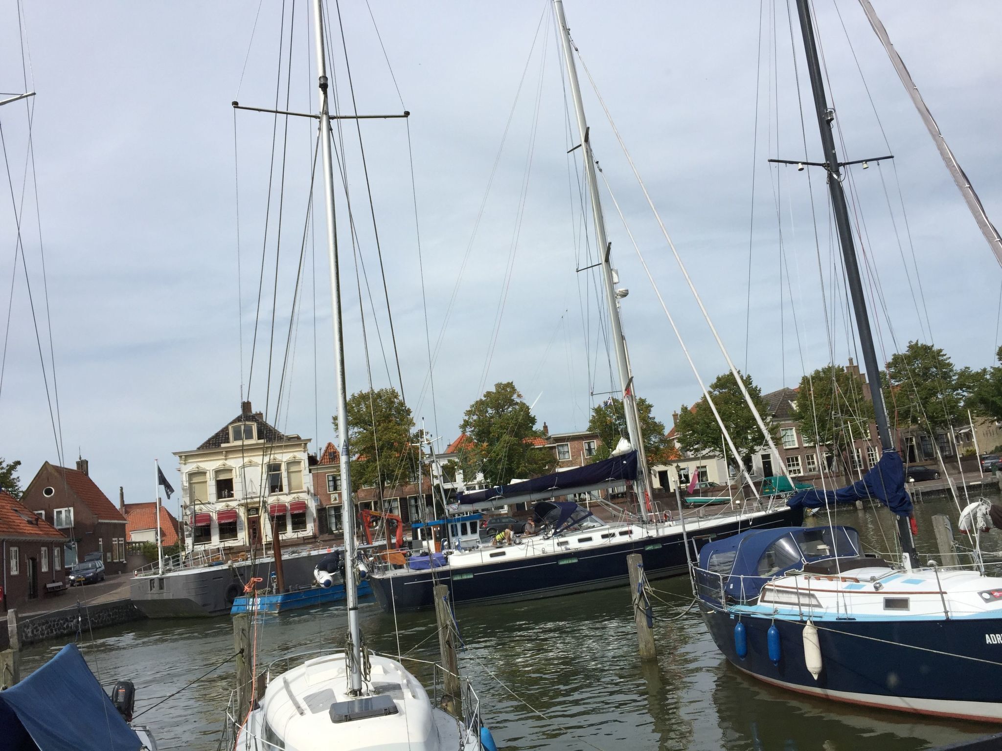A marina with several sailboats docked.
