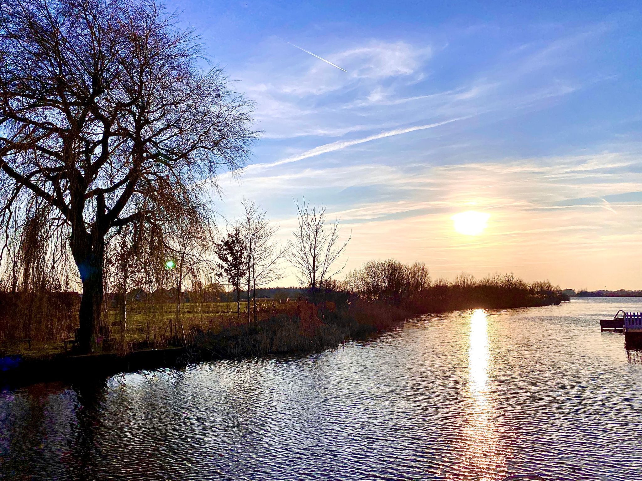 A river with a tree on the left and a boat on the right.