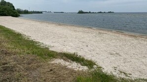 Una playa arenosa con una zona cubierta de césped y una masa de agua tranquila.