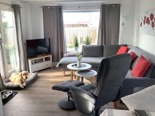 Un salón moderno con un sofá gris, un sillón negro y una cama para perro.