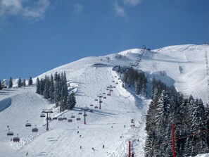 Snow and ski sports - Appartement in Steinberg Am Rofan mit Grill, Whirlpool und Garten by Interhome (Achenkirch)