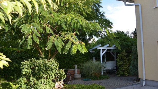 A garden with a pergola, a brick pathway, and a variety of plants. - Florian 1 in Bezirk 21-Floridsdorf by Interhome (Vienna)