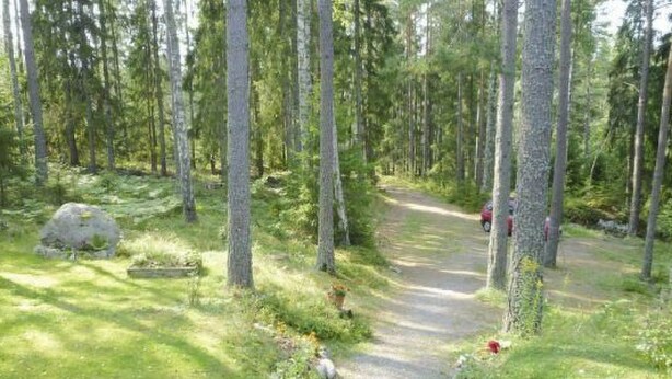 Ein Waldpfad mit Kiesweg, umgeben von hohen Bäumen und Grün.