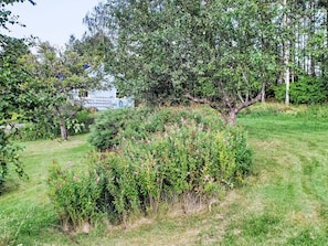 A lush garden with a variety of plants and trees, a grassy area, and a building with a blue roof in the background.