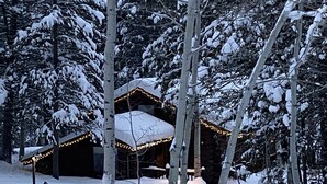 A cabin surrounded by snow-covered trees. - Jackson Hole Cabin on 4+ wooded acres in Wilson, WY (Wilson)