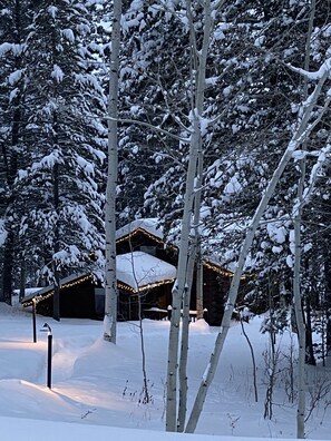 Exterior - Jackson Hole Cabin on 4+ wooded acres in Wilson, WY (Wilson)