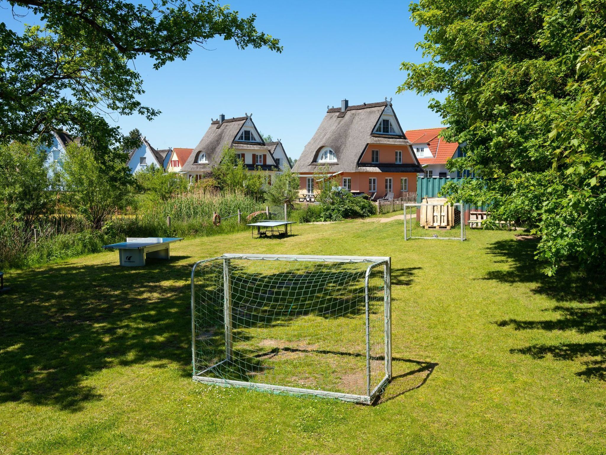 Eine Rasenfläche mit einem Fußballtor, einem Picknicktisch und einem kleinen Schuppen.
