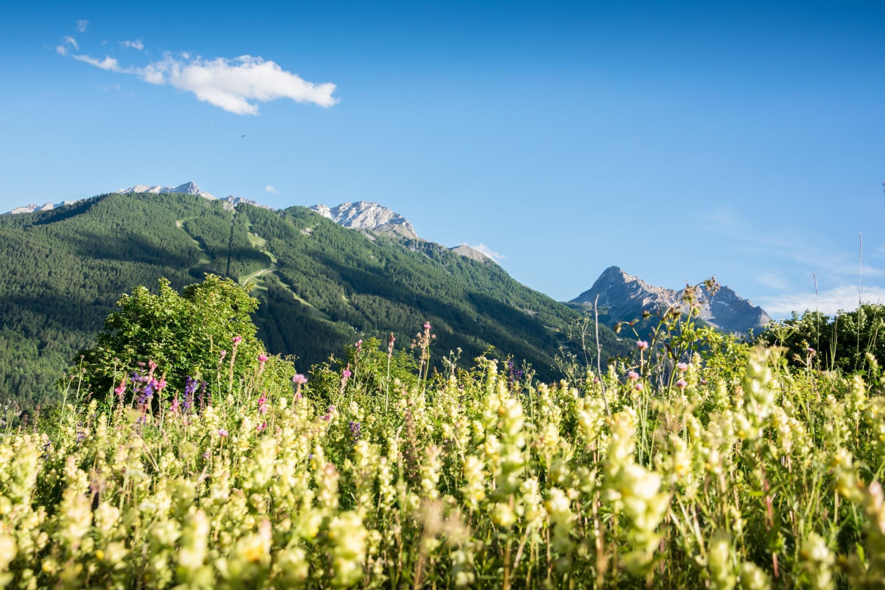 A mountainous landscape with a clear sky.