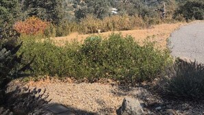 Vista panorámica de un paisaje montañoso con vegetación dispersa y cielo despejado.
