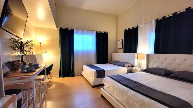 Una habitación de hotel con escritorio, dos camas, una silla y una planta en maceta.