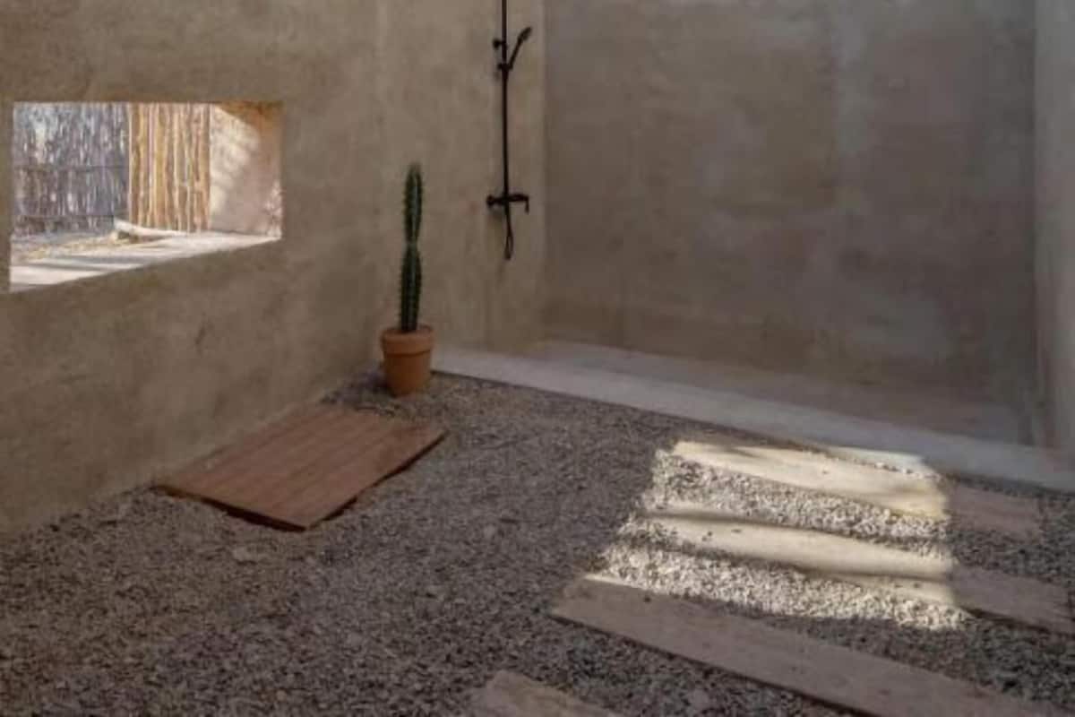 Une salle de bain minimaliste avec un mur en béton, une petite fenêtre, un cactus et un espace douche.