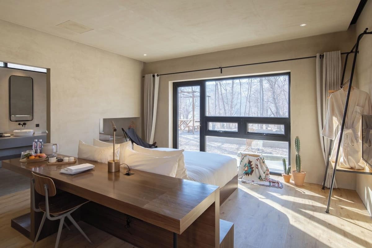 Une chambre d’hôtel moderne avec un bureau en bois, un lit recouvert de draps blancs, une grande fenêtre donnant sur des arbres et un cactus en pot.