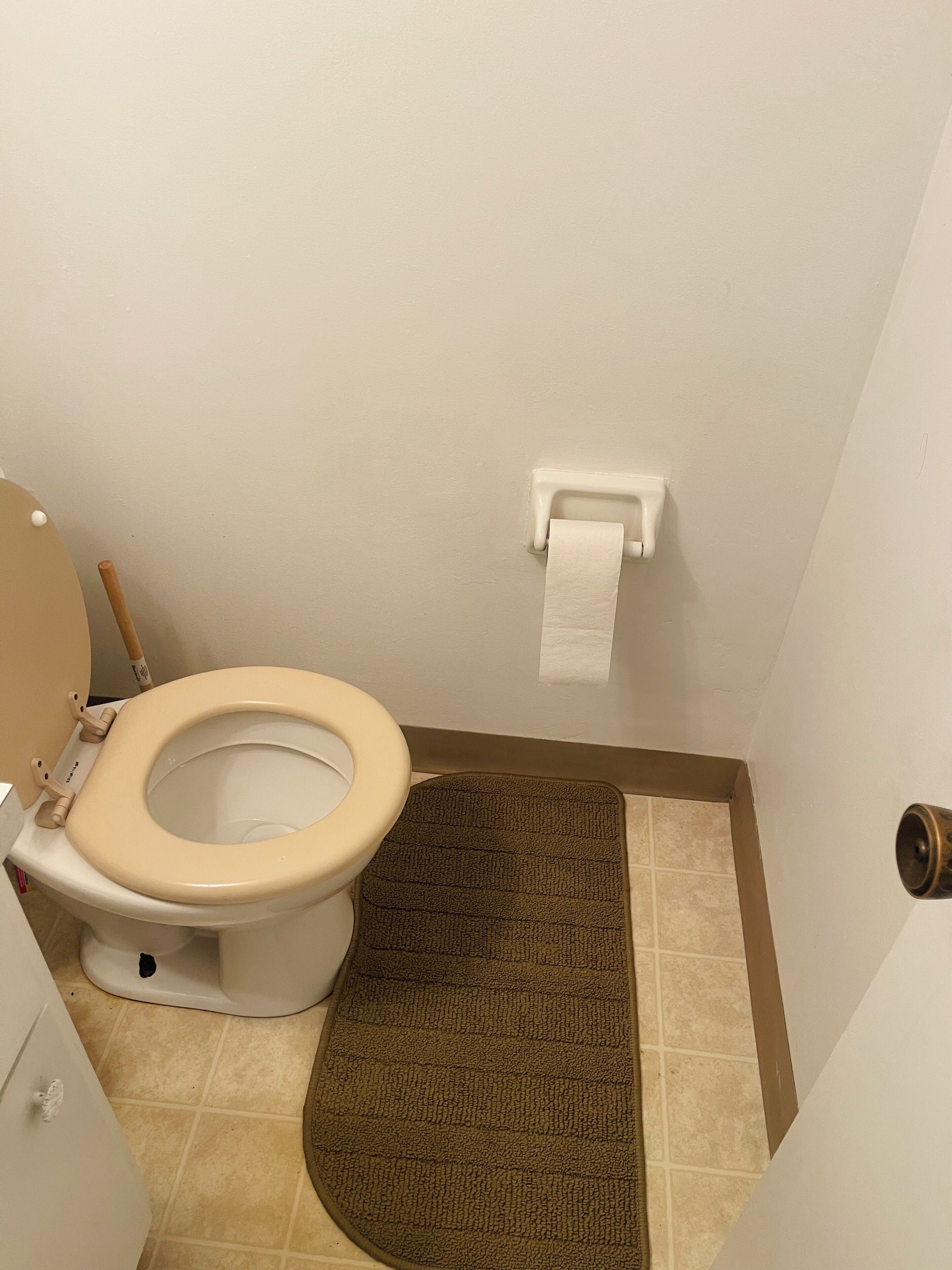 Une salle de bain avec des toilettes, un porte-serviettes et un tapis marron.