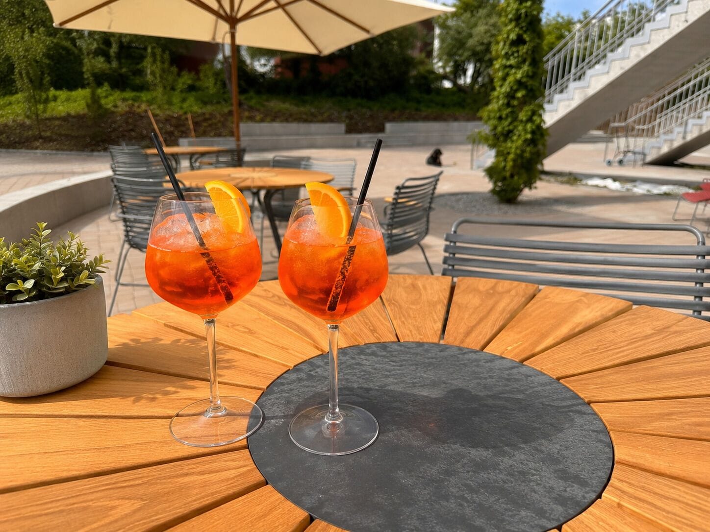 Two drinks on a round table with a potted plant beside it.
