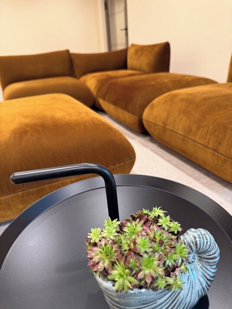 Un salon moderne avec un canapé d’angle et une petite table sur laquelle est posée une plante en pot.