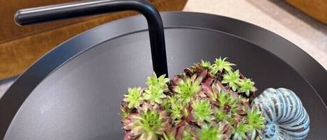 Un salon moderne avec un canapé d’angle et une petite table sur laquelle est posée une plante en pot.