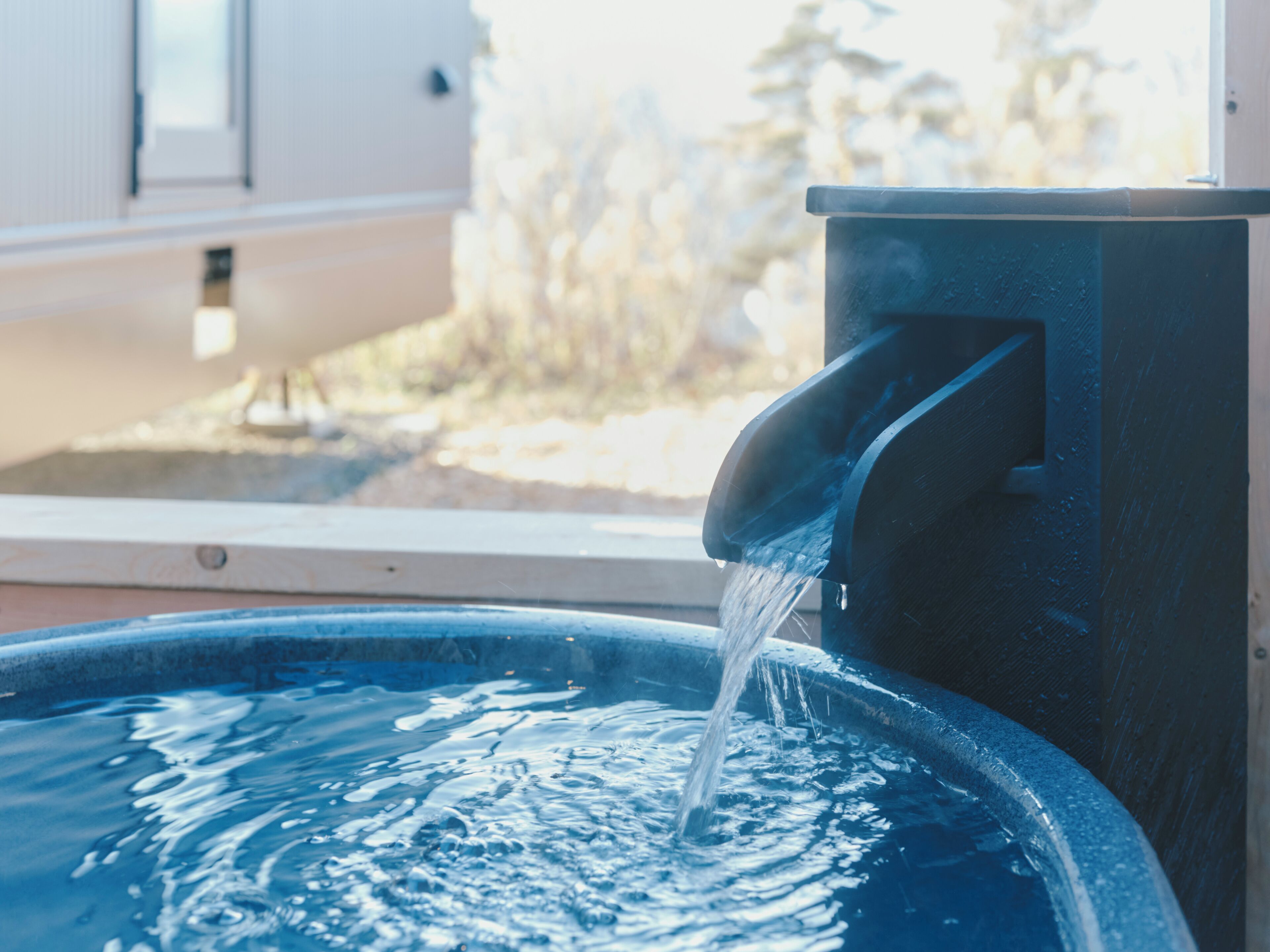 Hair dryer, towels, shampoo, toilet paper
