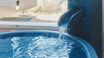 Hair dryer, towels, shampoo, toilet paper