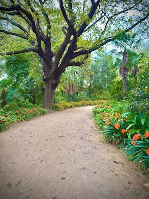 Un sentier de terre serpente à travers un jardin luxuriant, parsemé de grands arbres et de fleurs orange.