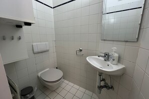 A small, clean bathroom with a toilet, sink, and mirror. - Lovely 3BR Apt. with Balcony near Rennweg station (Vienna)