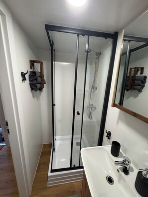 Shower, towels, soap, toilet paper