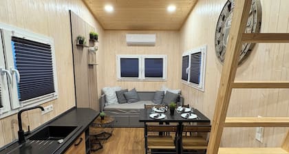 KE-Tiny Settlement House Paulchen