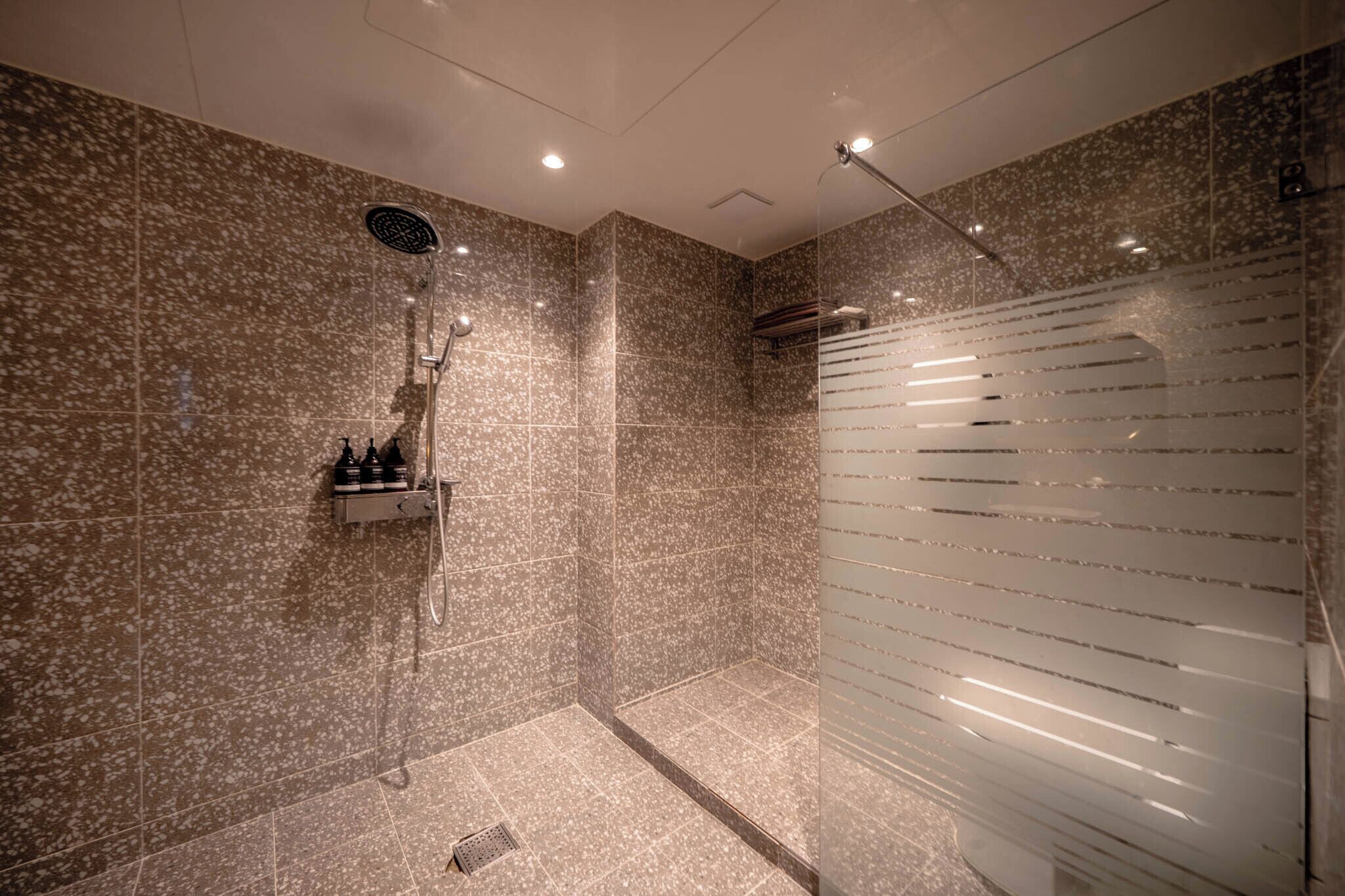 DELUXE | Bathroom | Hair dryer, towels, soap, shampoo