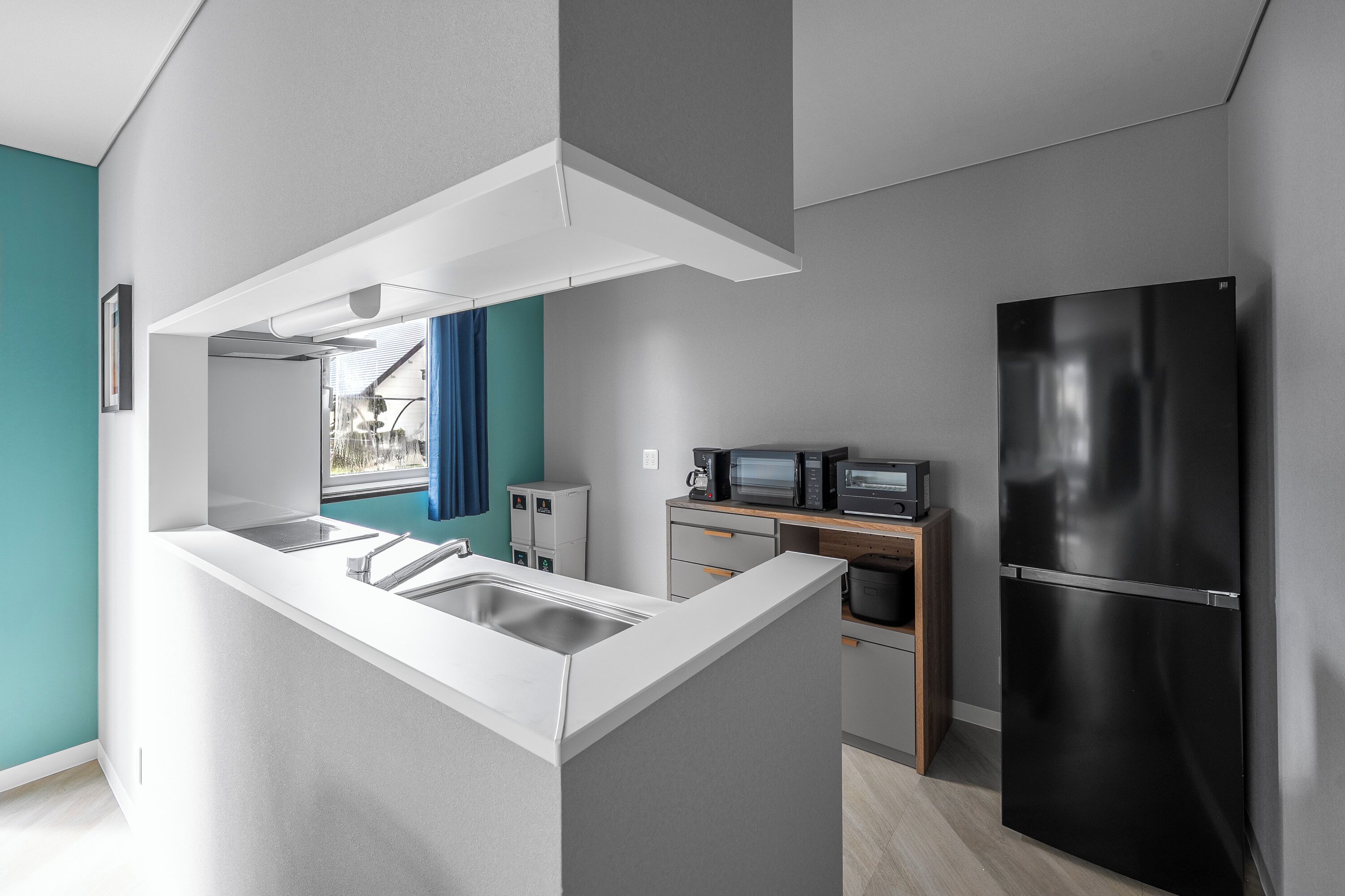 Fridge, microwave, stovetop, rice cooker