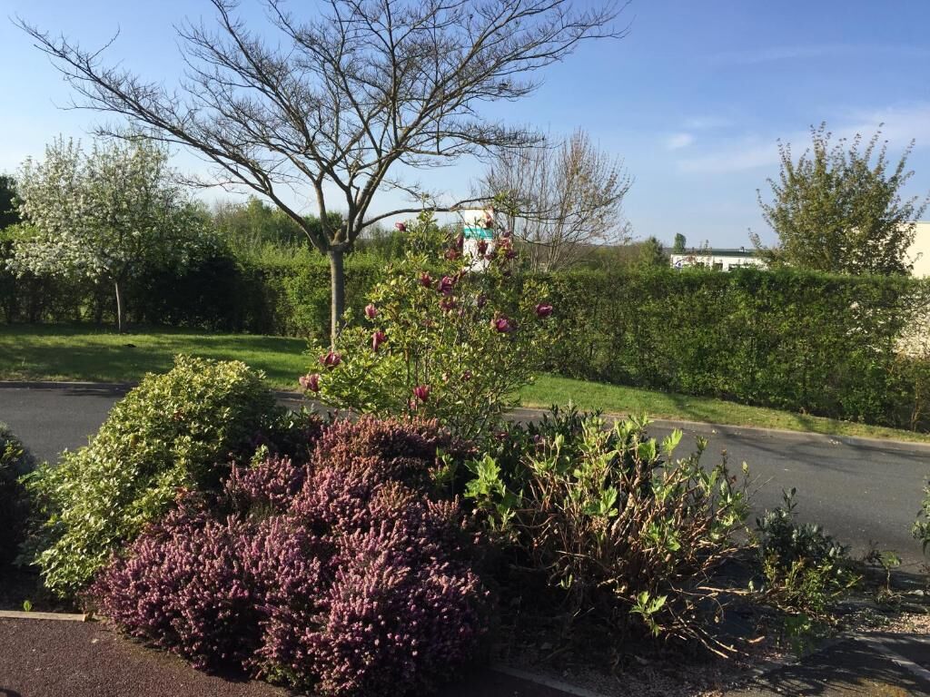 A landscaped garden with various shrubs and a tree in the foreground.
