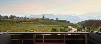 Experience South Tyrol in Kaltern, Apartment Rosengarten, balcony, central location