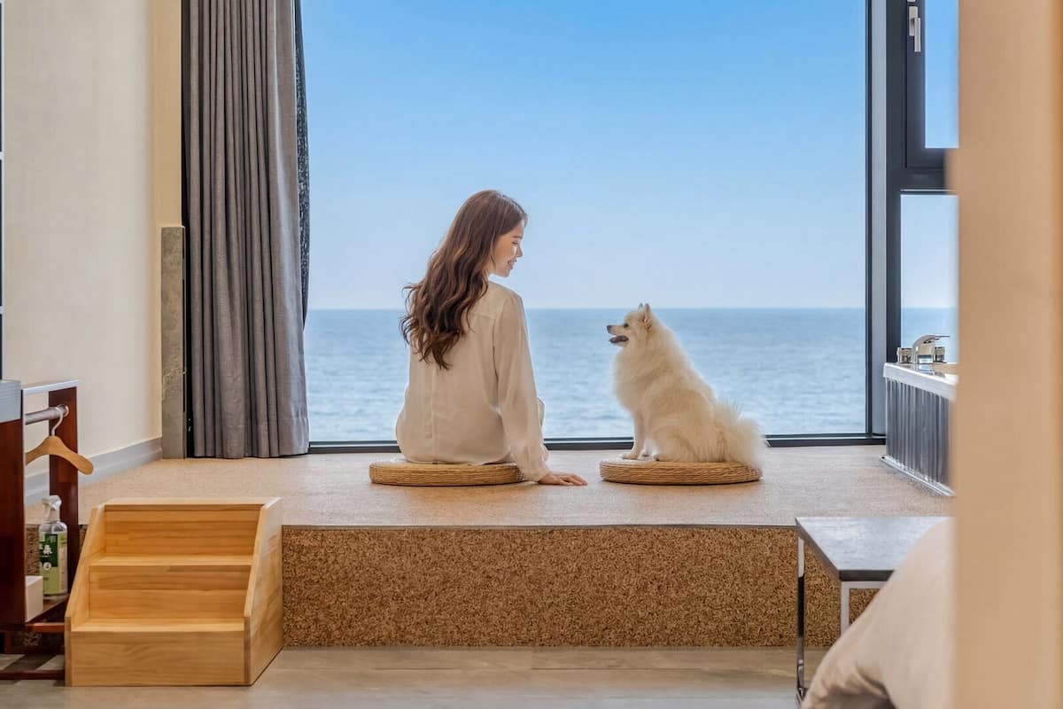 基本客房, 1 間臥室 (B504(Dog-Friendly)) | 1 間睡房、免費 Wi-Fi