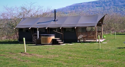 Buzzard, dog friendly accommodation for six people in Brecon, Wales