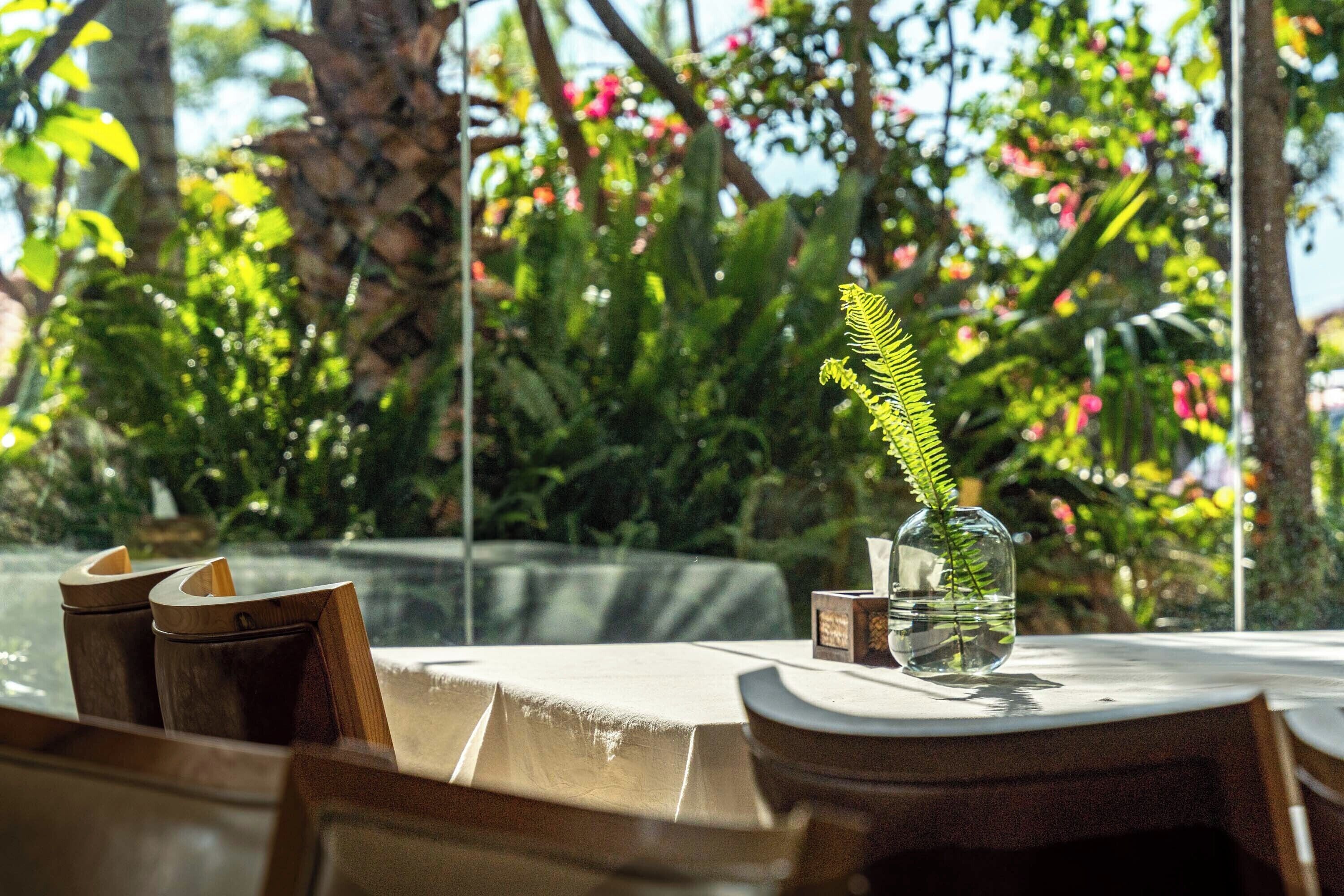 A table with a clear view of a glass vase containing a fern, a tissue box, and a small container.