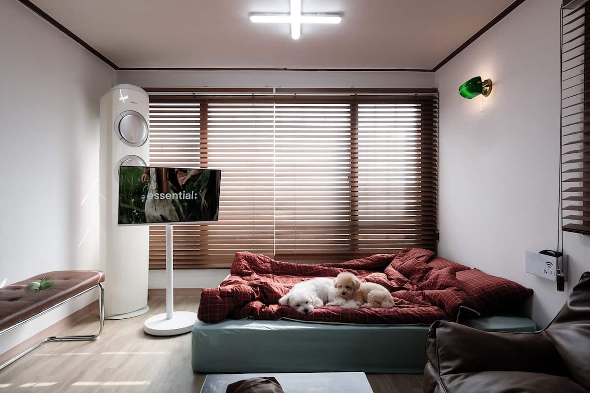 Una habitación moderna con cama, ventilador, televisión y ventana con persianas.