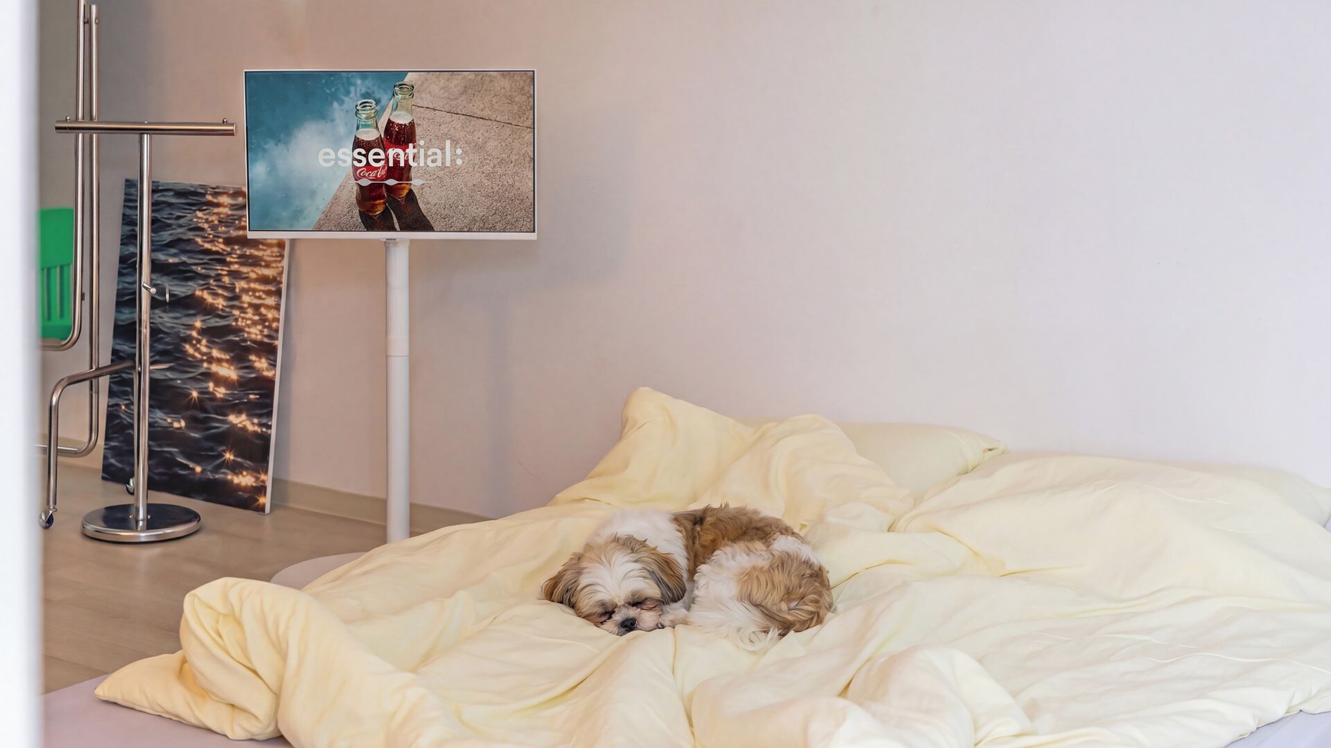 Chambre, 1 chambre (105(Pet-friendly,1F))