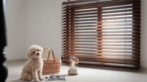A small room with a dog, a wicker basket, and a floor lamp. - Ganghwa Aboha Pet-friendly Pension (Incheon)